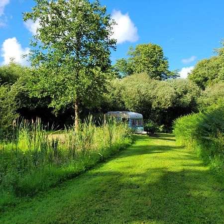 Budget Stay, In Lovely Private Setting With Rustic Charm, Log Burner, Fire Pit, Campers Kitchen & Eco Loo No Bedding Supplied 나버스 외부 사진